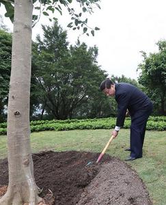 時習(xí)之 改革·印記丨12年，總書記種下的“信心樹”枝繁葉茂
