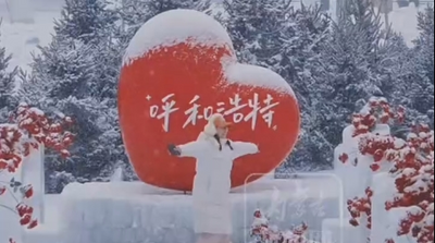 雪落青城 美輪美奐