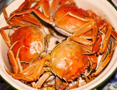 美味！“烏海宴 · 年飯”菜單發(fā)布