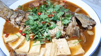 黄河臻味！海勃湾开河鱼鲜翻味蕾