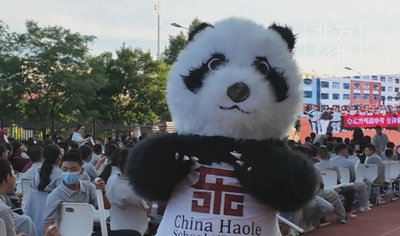 熊貓玩偶現(xiàn)身校園與學生歡樂互動