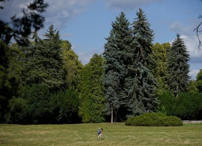 波蘭華沙：夏日公園