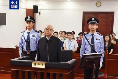 杜梓，有期徒刑15年！