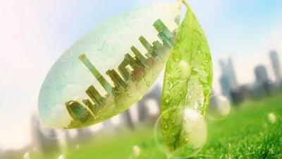 呼倫貝爾市地方第二個CCER造林碳匯項目全國公示