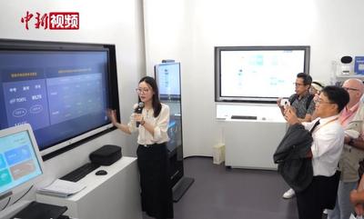 為什么這些國際專家看好中國AI方案？