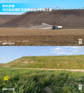 用科技提升治理質效，蒙草生態(tài)“鄉(xiāng)土植物+大數(shù)據(jù)”技術提升植被覆蓋45%