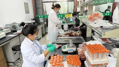 呼倫貝爾交出亮眼“質(zhì)檢答卷” 筑牢舌尖安全防線