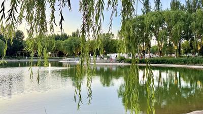 纳凉好去处～原来鄂托克旗藏着这么多宝藏公园广场？！