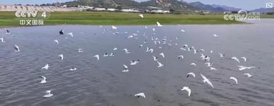 全國生態(tài)日丨綠水青山釋放經(jīng)濟紅利 生態(tài)保護(hù)與產(chǎn)業(yè)發(fā)展雙贏