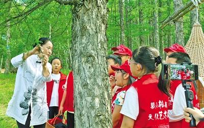 閱覽森林畫(huà)卷的理想之地