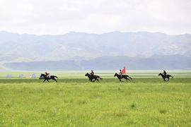 循著時(shí)光足跡 感知生態(tài)之變