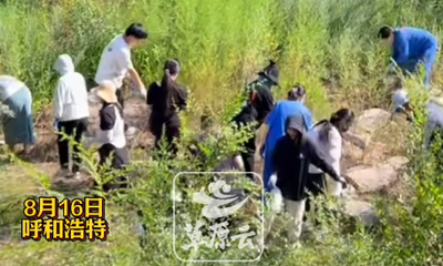 海拉爾路街道社區(qū)黨員居民齊動(dòng)手 開展清蒿行動(dòng)