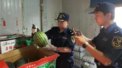 今年前7個月二連浩特口岸出口果蔬破10萬噸