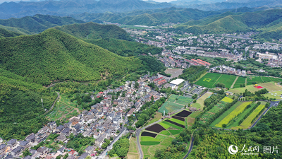 山水嫵媚 翠色生金