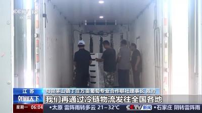 市场规模持续扩大 我国冷链物流运行上半年数据出炉