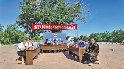 公益訴訟守護古樹名木