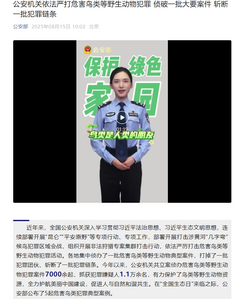 公安機關(guān)依法嚴(yán)打危害鳥類等野生動物犯罪 偵破一批大要案件 斬斷一批犯罪鏈條
