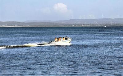 系统治理岱海蝶变