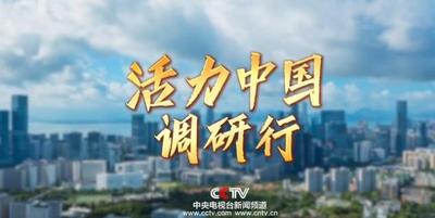 活力中國調(diào)研行丨從一棵草出發(fā) 草業(yè)成為帶動牧民致富的綠色產(chǎn)業(yè)