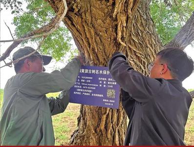 古樹名木有了“身份證”