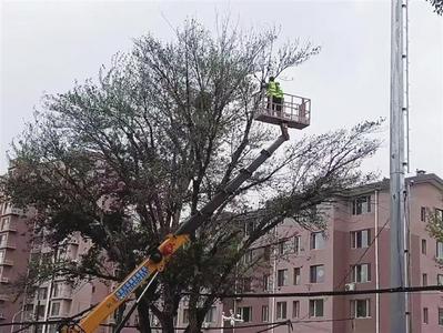 修剪樹木排除隱患 保障居民出行安全
