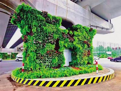 桥下空间“绣花”更增文明温度