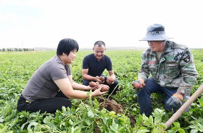 乌兰察布市大面积单产提升与科学施肥培训会举办