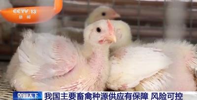有種可用、風(fēng)險可控 我國已查清畜禽資源“家底”