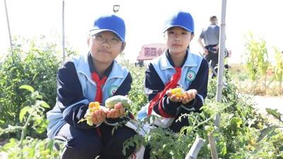 二连浩特市青少年劳动教育实践基地举办首届“丰收节”暨劳动教育宣传月启动仪式