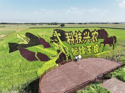 大黑河郊野公园稻田画进入最佳观赏期