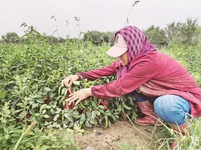 讓農(nóng)業(yè)更強(qiáng) 農(nóng)村更美 農(nóng)民更富
