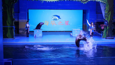 “蒙超”到赤峰，光看球你就虧大了！
