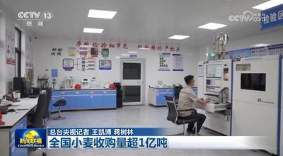 全國小麥?zhǔn)召徚砍?億噸