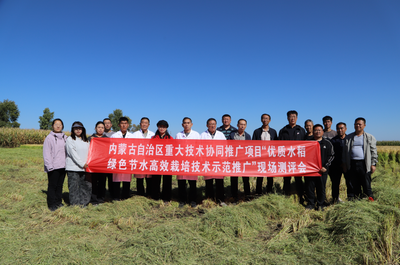 興安盟水稻測(cè)產(chǎn)結(jié)果出爐！畝產(chǎn)達(dá)863.1公斤，較去年提高77.2公斤