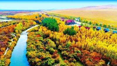追蹤 | 從“放肆揮撒”到公開致歉 紙片已被清理完畢！