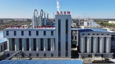 点“玉”成金：“一粒玉米”赋能一方振兴沃野