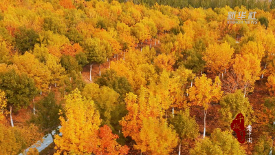 千城百縣看中國｜內(nèi)蒙古赤峰：紅山之秋
