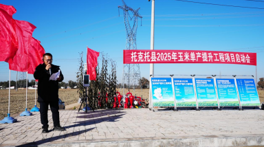 科技賦能 托克托縣啟動(dòng)玉米單產(chǎn)提升工程