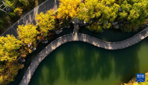 美麗中國丨塞上湖城秋意濃