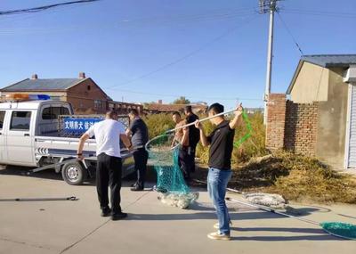 流浪犬集中整治 守護城市安全