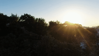 文化中國行·歲時(shí)中國｜重陽：登高敬耆