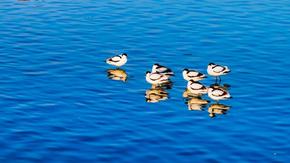  深秋隱藏款！呼和浩特“年度名場面”即將上演！