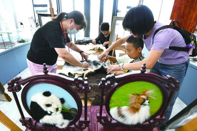 集宁区察哈尔毛绣：指尖非遗“镊”国粹