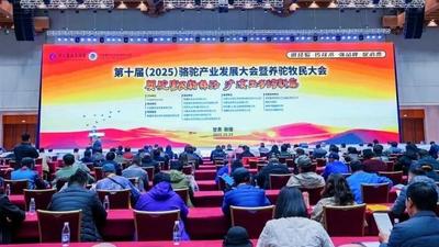 共話興駝富民新路徑！阿拉善盟組團(tuán)亮相第十屆（2025）駱駝產(chǎn)業(yè)發(fā)展大會(huì)暨養(yǎng)駝牧民大會(huì)