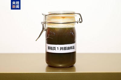 四川盆地發(fā)現(xiàn)億噸級(jí)新頁(yè)巖油規(guī)模增儲(chǔ)陣地