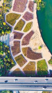 漫溢秋日多巴胺