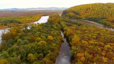 點(diǎn)贊！晉升“國(guó)字號(hào)”名片