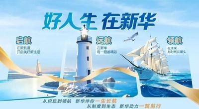 錨定一流金融服務集團 新華保險明確未來五大發(fā)展方向