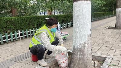 樹木穿上“防護衣”