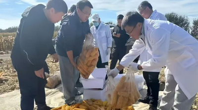 內(nèi)蒙古通遼建成200萬(wàn)畝規(guī)?！皣嵓Z田”